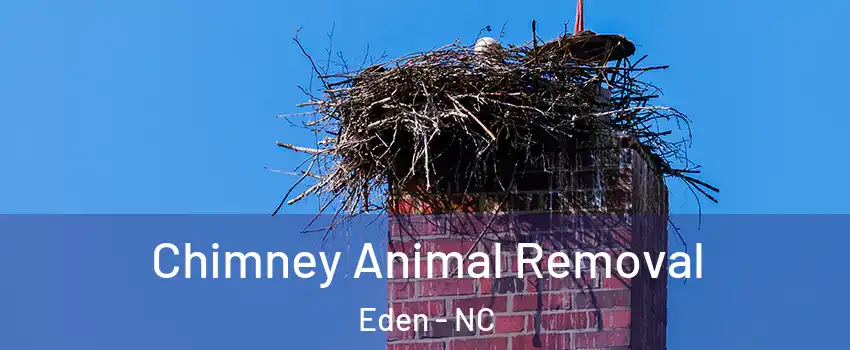  Chimney Animal Removal Eden - NC