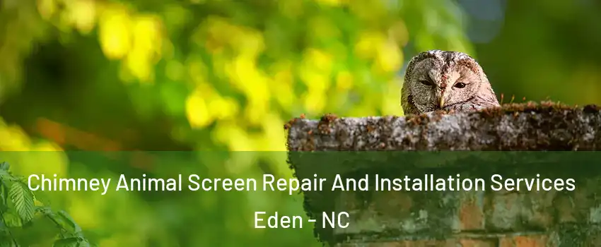  Chimney Animal Screen Repair And Installation Services Eden - NC