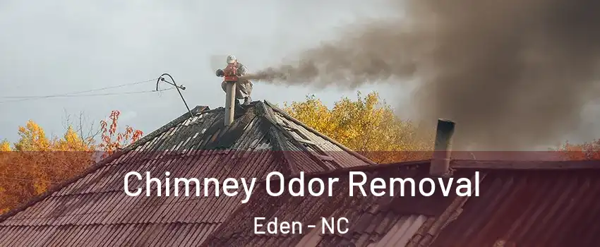  Chimney Odor Removal Eden - NC