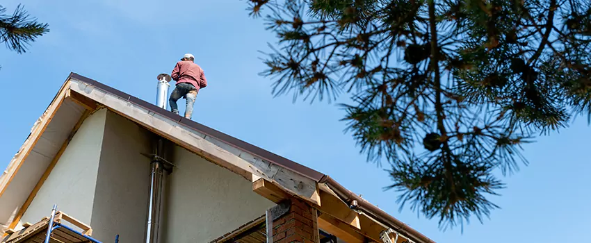 Birds Removal Contractors from Chimney in Eden, NC