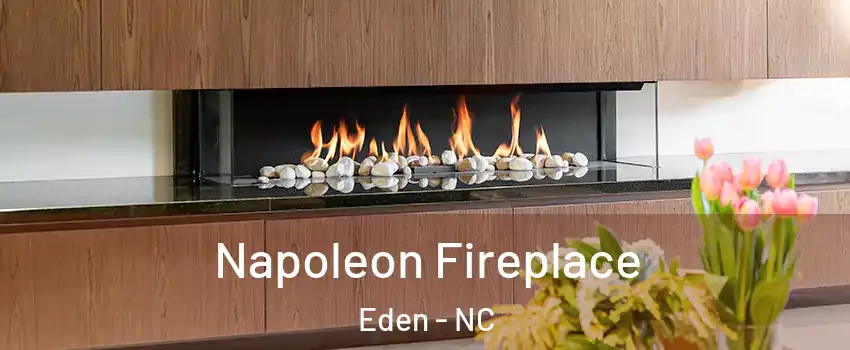  Napoleon Fireplace Eden - NC